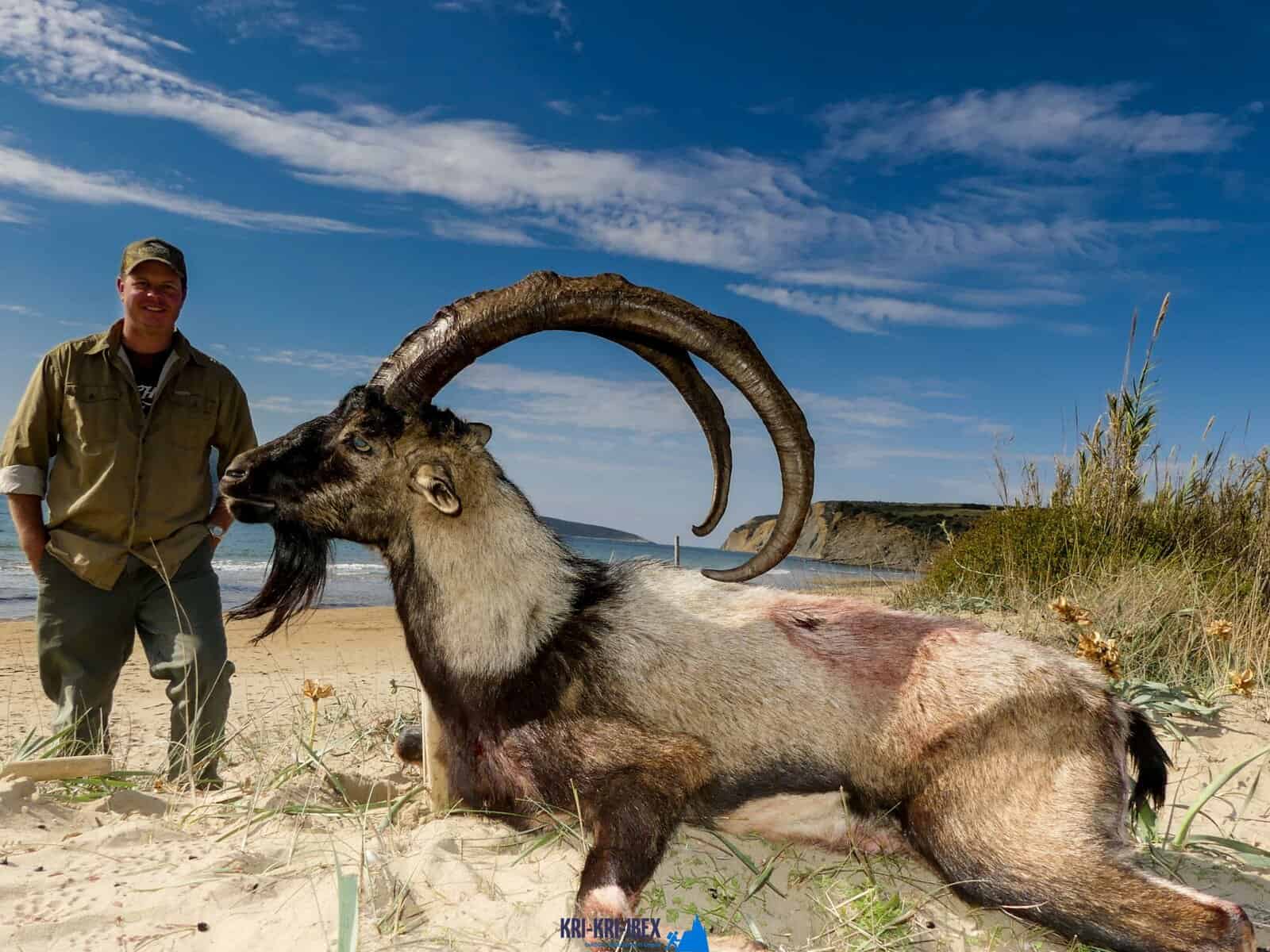 kri kri ibex hunting macedonia